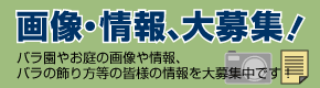 画像や情報のご提供をお願い致します。