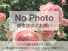 佐倉草ぶえの丘バラ園　The City of Sakura Rose Garden