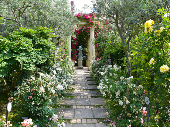 hirakata park rosegarden.jpg