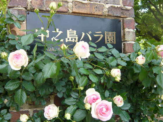 nakanoshima_rose garden.jpg