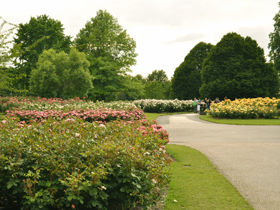 queen mary rose garden.jpg