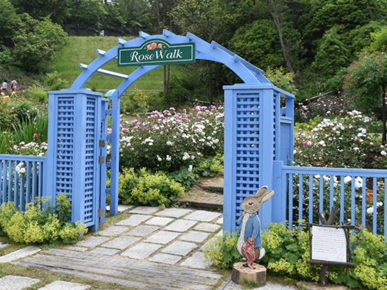 rokkosan rose garden.jpg