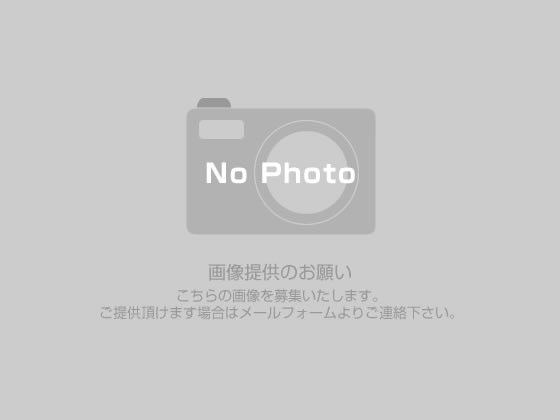 no_photo.jpg